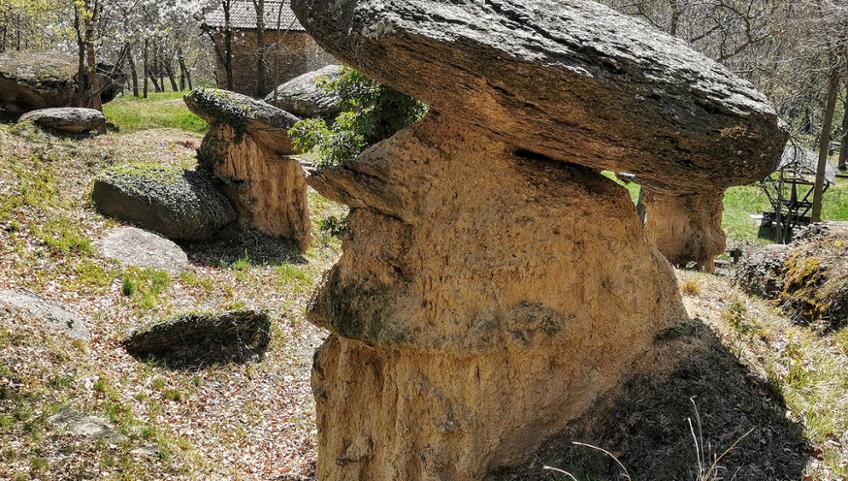 RISERVA NATURALE CICIU DEL VILLAR